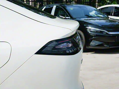 2025�� 670 Max��