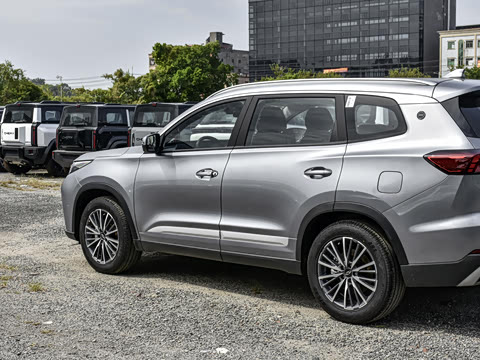 2025�� 290T ��������+