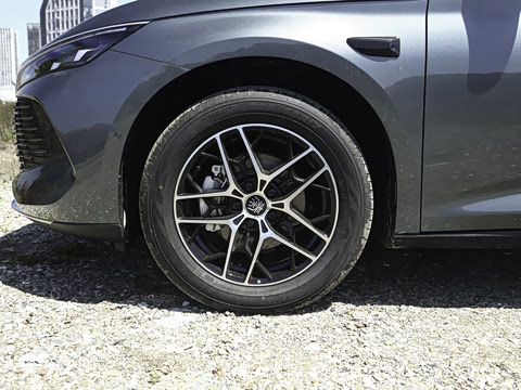 2026�� DM-i 210KM��Խ��