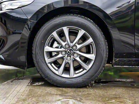 2025�� 1.5L �ֶ�������