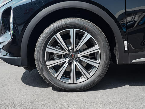 2025�� �Ŀ�  2.0T PHEV ����200��������� 7��