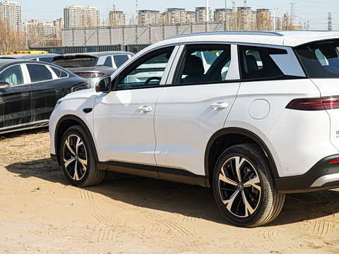 2026�� DM-i 220KM��Խ��