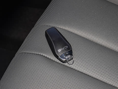 2026�� DM-i 220KM��Խ��