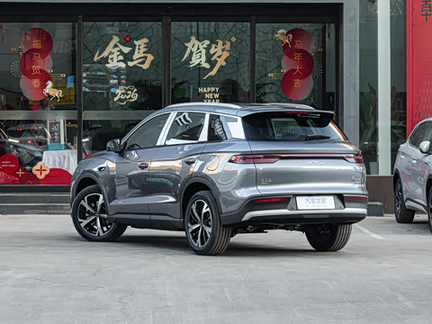 2026�� DM-i 220KM��Խ��