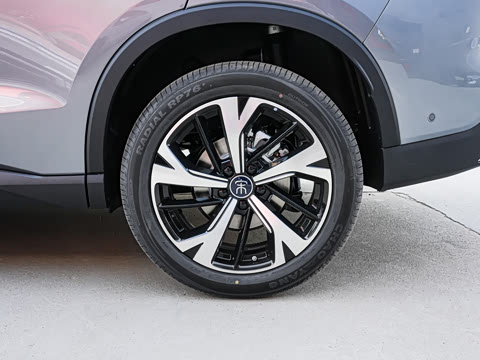 2026�� DM-i 220KM��Խ��