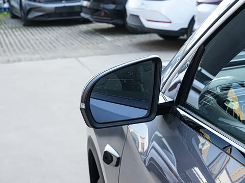 2026�� DM-i 220KM��Խ��