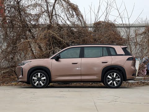 2026�� 650 ��׼��