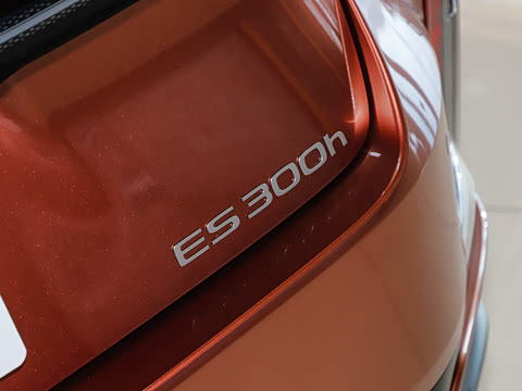 2026�� 300h