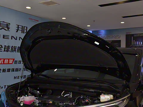 2026�� 2.5L ˫����������