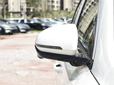 2026�� DM-i 220KM��Խ��