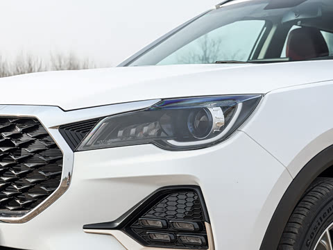 2026�� 1.5T DCT��ԽPRO 5��