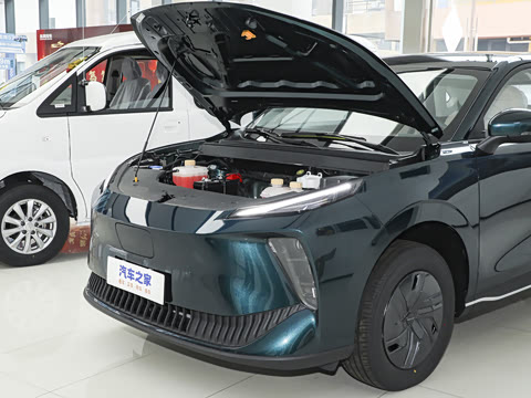 2025�� 530�캽��