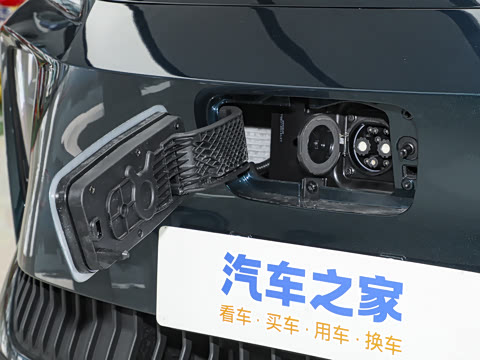 2025�� 530�캽��