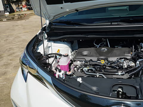 2026�� 2.5L�춯 ������