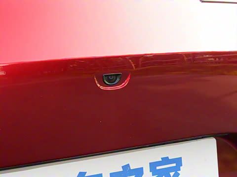 2025�� �ֶ��������� ī�����