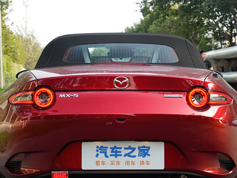 2025�� �ֶ��������� ī�����