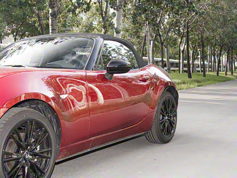 2025�� �ֶ��������� ī�����