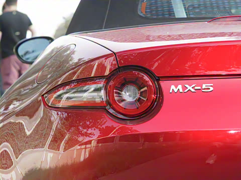 2025�� �ֶ��������� ī�����