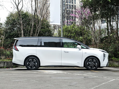 2026�� ����������