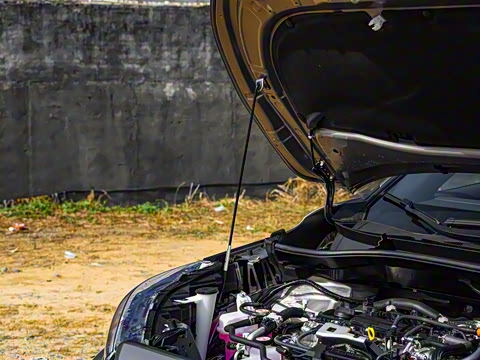 2026�� 2.0L ���ܵ��˫�� ������