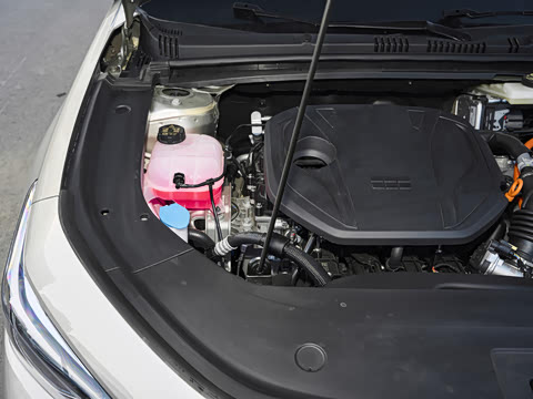 2026�� 60km���ڰ�