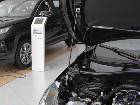 2026�� 2.0L ���ܵ��˫�� ���Ȱ�