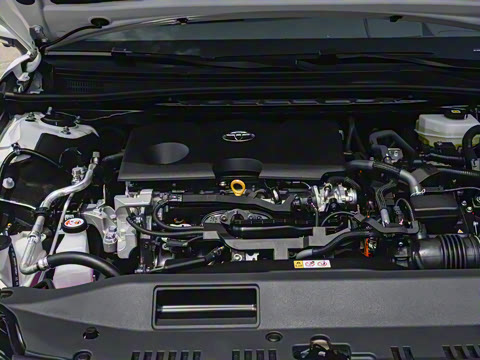 2026�� ˫�� 2.0HS �˶���