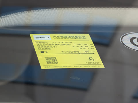 2026�� DM-i 210KM�����