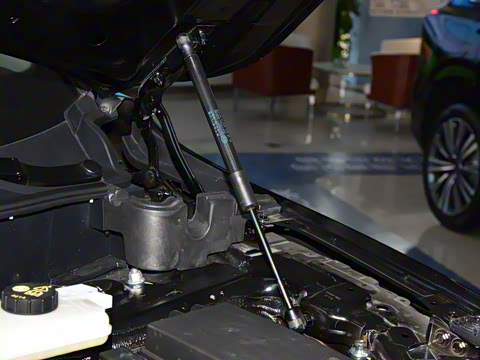 2025�� 2.0T PHEV ���������� 6��