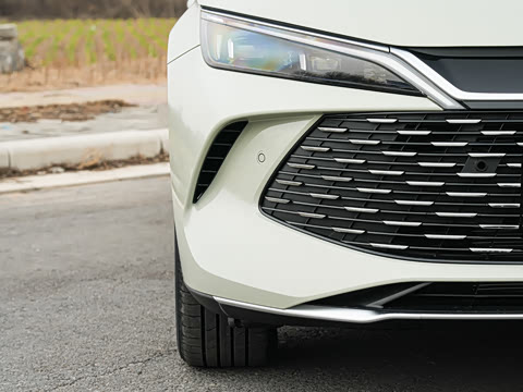 2026�� DM-i 210KM��Խ��