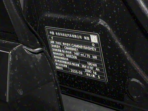 2025�� ����200 Max