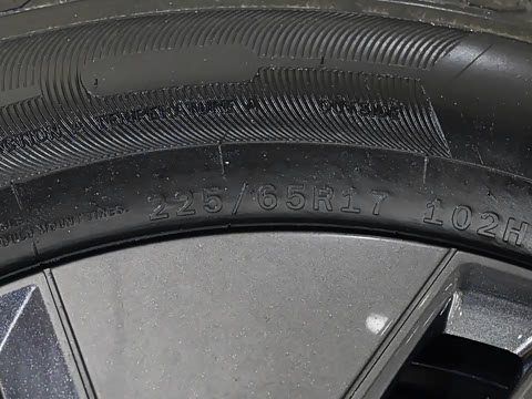 2025�� 530�캽��