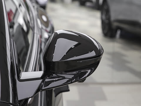 2025�� Elite�����