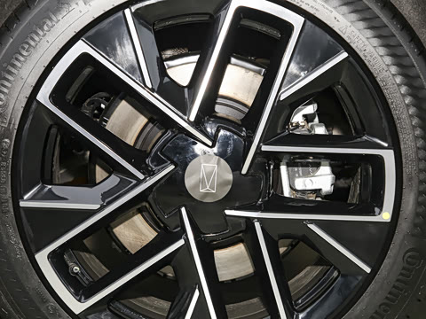 2025�� Elite�����