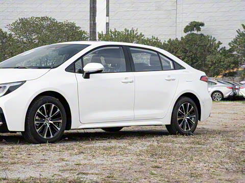 2026�� ����L ���Ͱ� 2.0L ����PLUS��