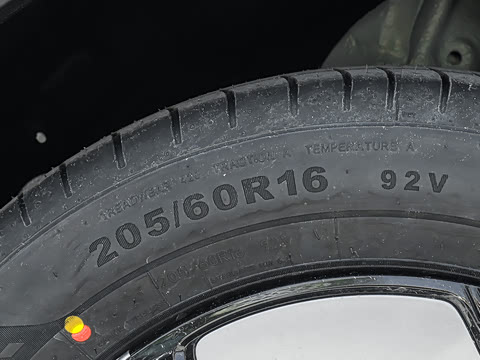 2026�� 310�Ȱ���