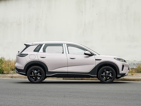2026�� DM-i 220������