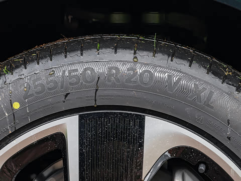 2026�� �����