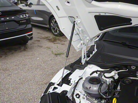 2025�� �Ŀ� 330TSI ��Ŀ ������