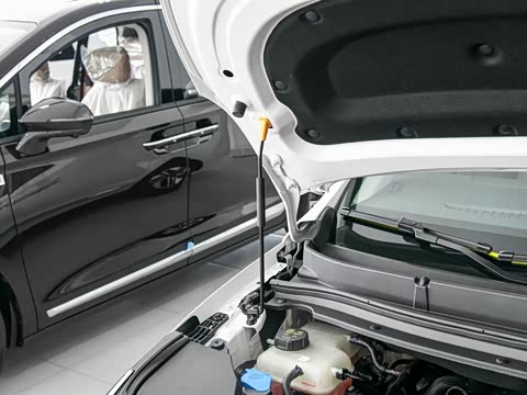 2026�� ����Max