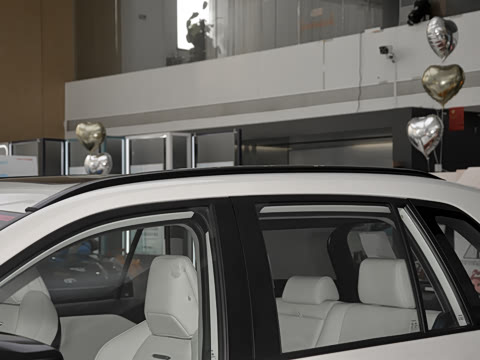 2026�� 2.0L ���ܵ��˫�� PRO+