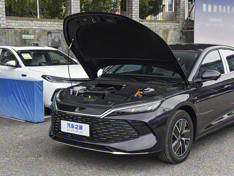 2026�� DM-i 128KM������