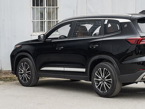 2026�� �ھ��� 290T ���������� 7��