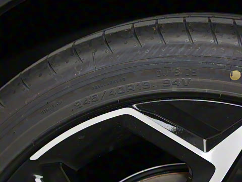 2026�� 126������ Max