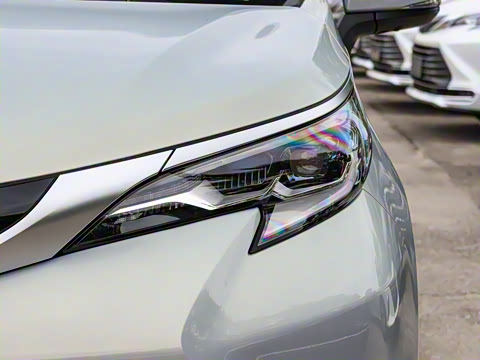 2026�� 2.5L ˫����������