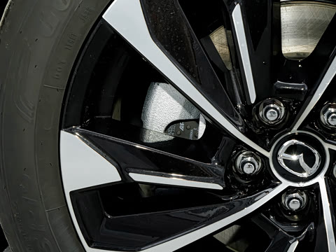 2026�� 2.5L ���а�