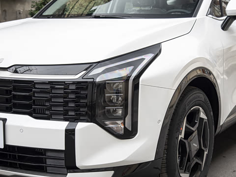 2026�� ����������