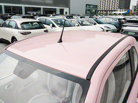 2026�� 222km �Ų���