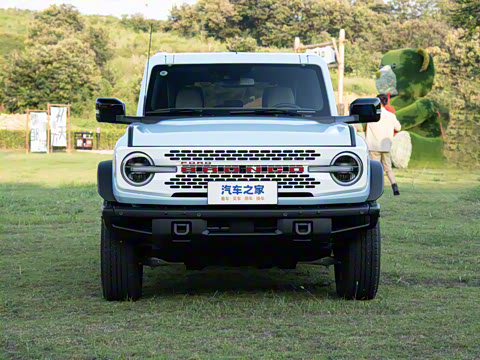 2025�� 2.3T 1966��׼��