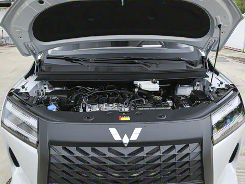 2025�� 1.5T 6MT ������